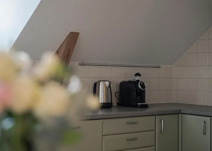 Spacious & Sunny Loft In Prestigious Quiet Centre 里加