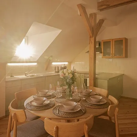 Spacious & Sunny Loft In Prestigious Quiet Centre Dzīvoklis