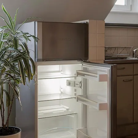 Apartman Spacious & Sunny Loft In Prestigious Quiet Centre *
