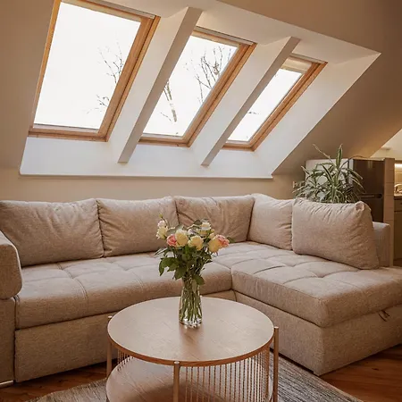 Spacious & Sunny Loft In Prestigious Quiet Centre 公寓